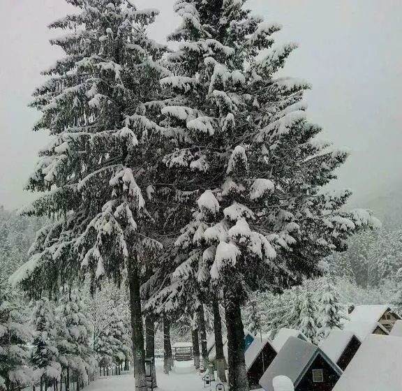 Lomakeskus Vila Bratocea