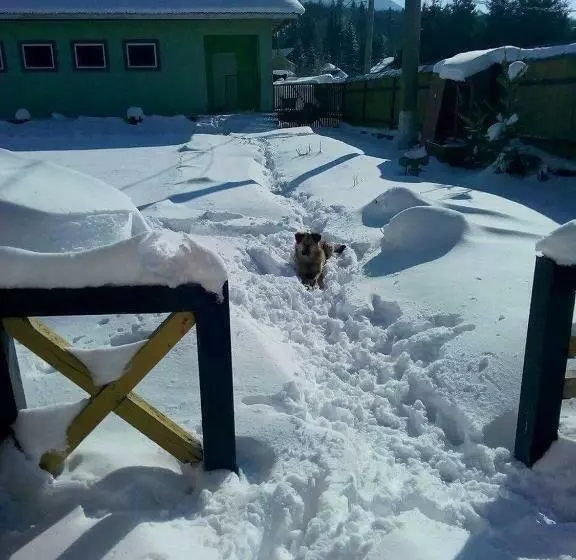 Lomakeskus Vila Bratocea