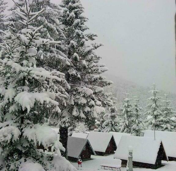 渡假胜地  Vila Bratocea