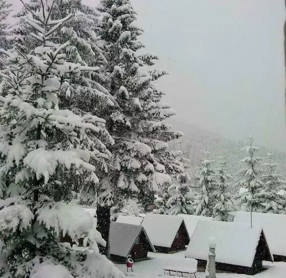 Lomakeskus Vila Bratocea