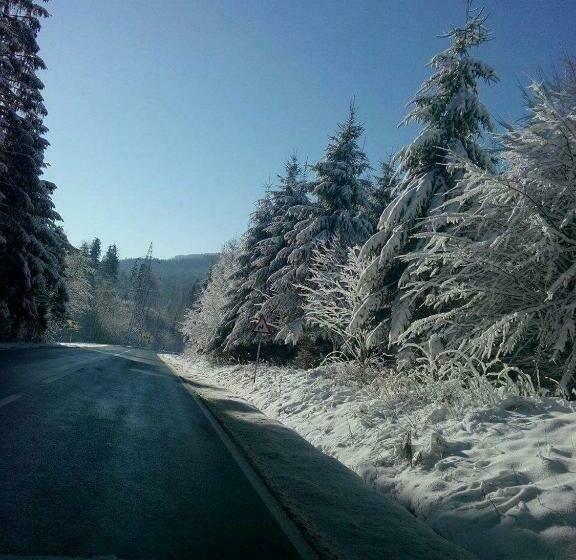 渡假胜地  Vila Bratocea