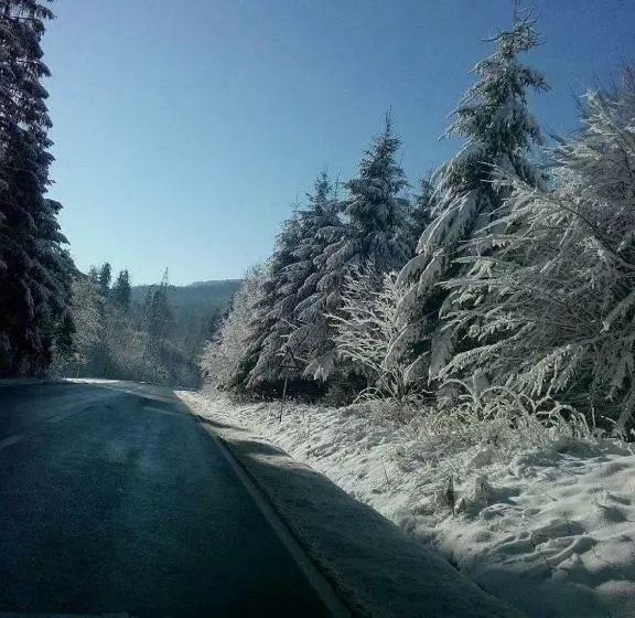 Lomakeskus Vila Bratocea