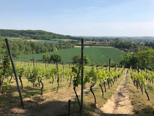 ベッドアンドブレックファースト Boslucht Leuven