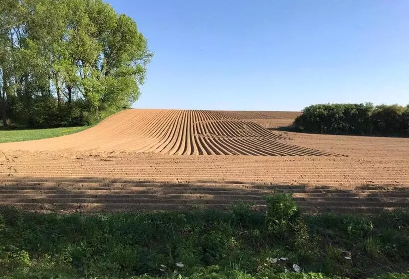 ベッドアンドブレックファースト Boslucht Leuven