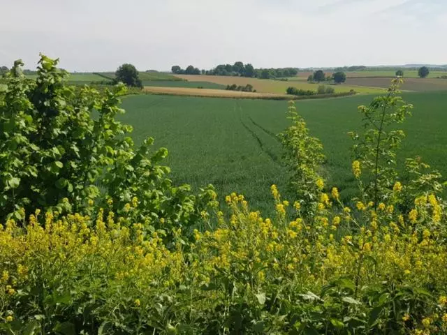 ベッドアンドブレックファースト Boslucht Leuven