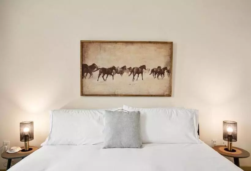 Kasa Love Fieldmedical District Dallas