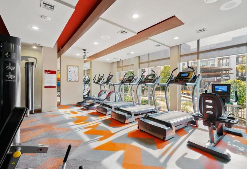 Kasa Love Fieldmedical District Dallas