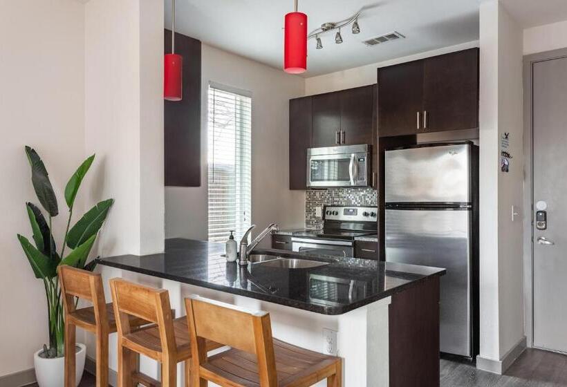 Kasa Love Fieldmedical District Dallas