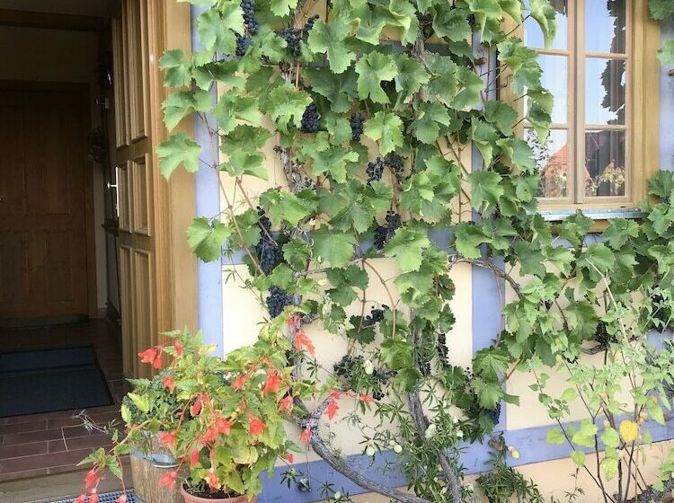 فندق In Der Alten Weinstube