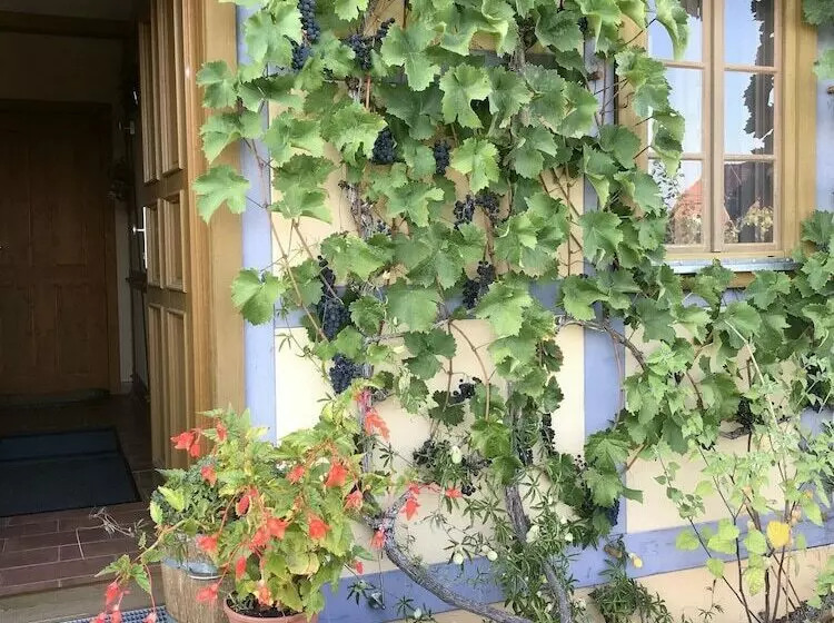 Hotelli In Der Alten Weinstube