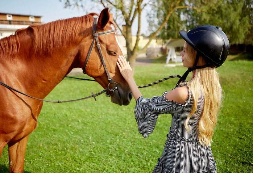 בית מלון כפרי New Fukujuso