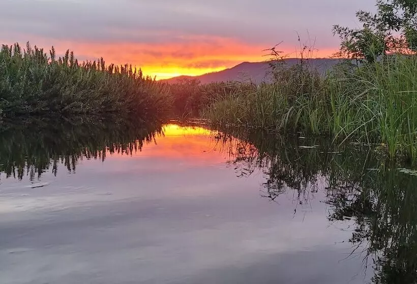 ホテル La Ferrugem Suites   100 Mts Da Praia