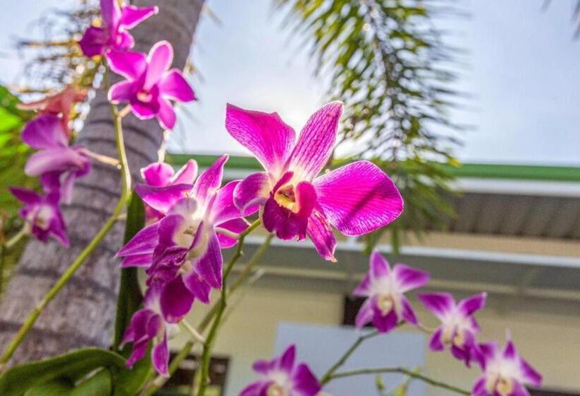 هتل Rawai Studios Resort By Oyo Rooms