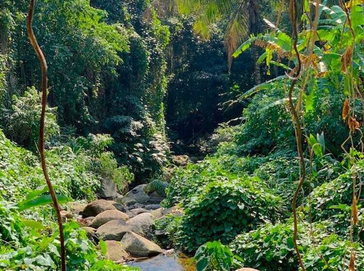 Отель Reserva Ilhabela