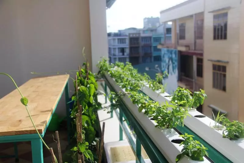 هتل Winter Spring Homestay