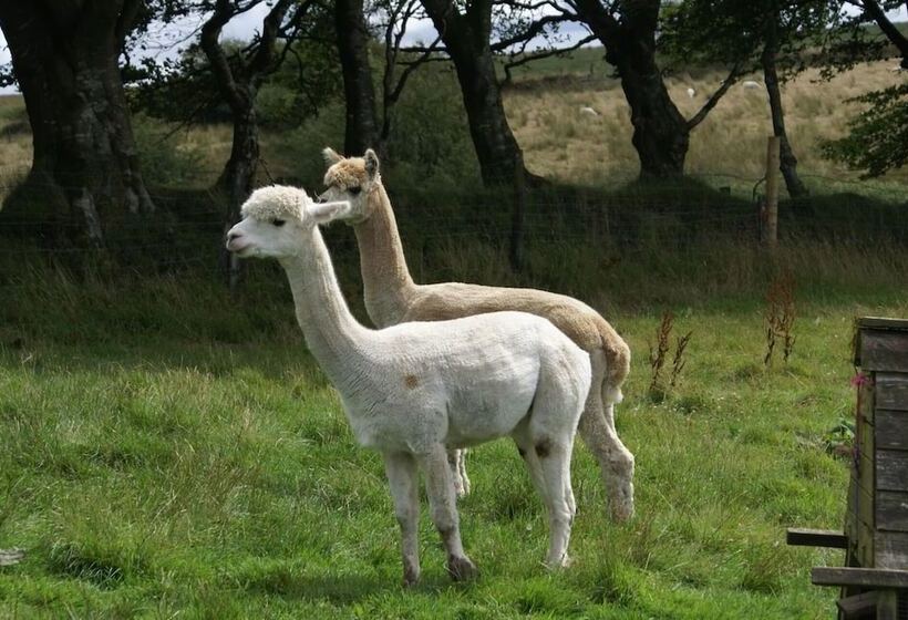 Inviting 2 Bed Cottage In Newcastle Emlyn