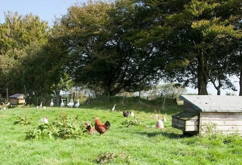 Inviting 2 Bed Cottage In Newcastle Emlyn