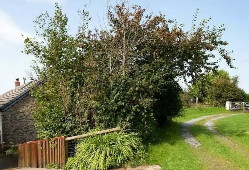 Inviting 2 Bed Cottage In Newcastle Emlyn