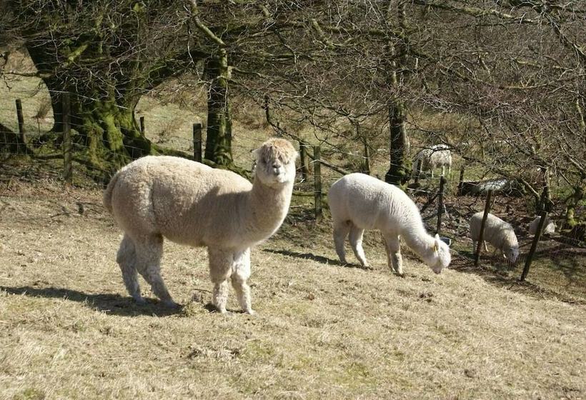 Inviting 2 Bed Cottage In Newcastle Emlyn