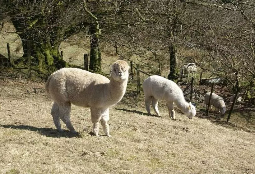 Inviting 2 Bed Cottage In Newcastle Emlyn