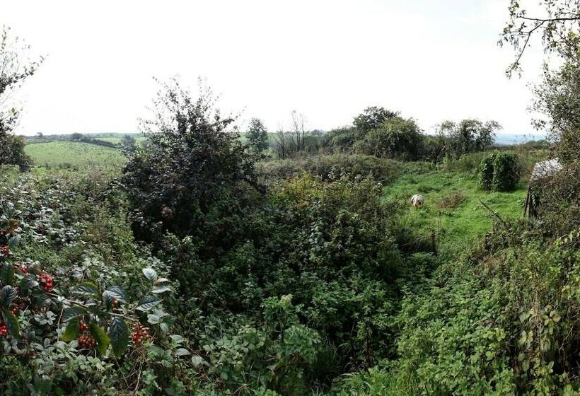 Inviting 2 Bed Cottage In Newcastle Emlyn