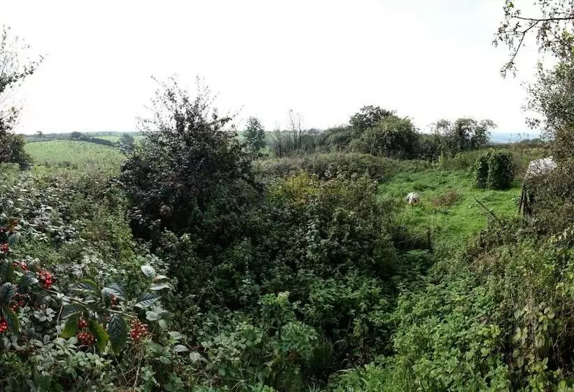 Inviting 2 Bed Cottage In Newcastle Emlyn