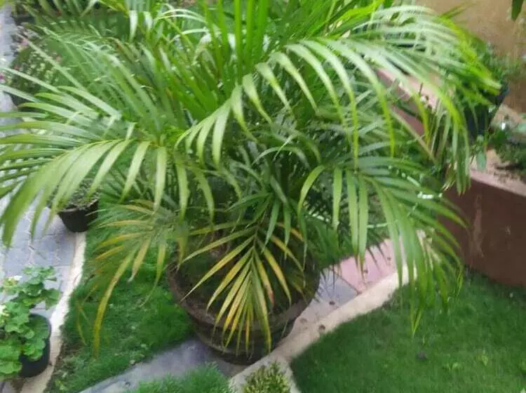 Majatalo Rio Home Stay