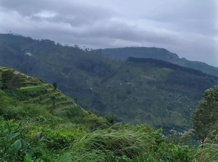 Majatalo Rio Home Stay