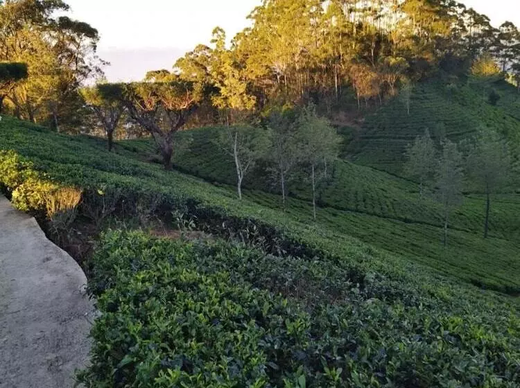 Majatalo Rio Home Stay