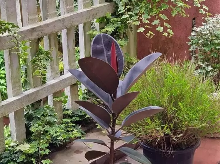 Majatalo Rio Home Stay