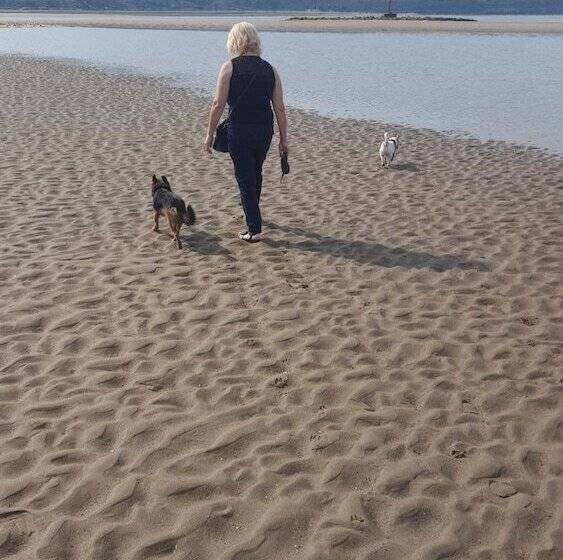 Resort A11 Hendre Coed Isaf Static Caravan