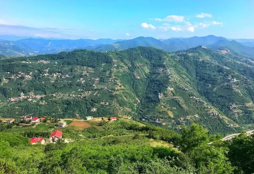 ホテル Akcatepe Dag Evleri