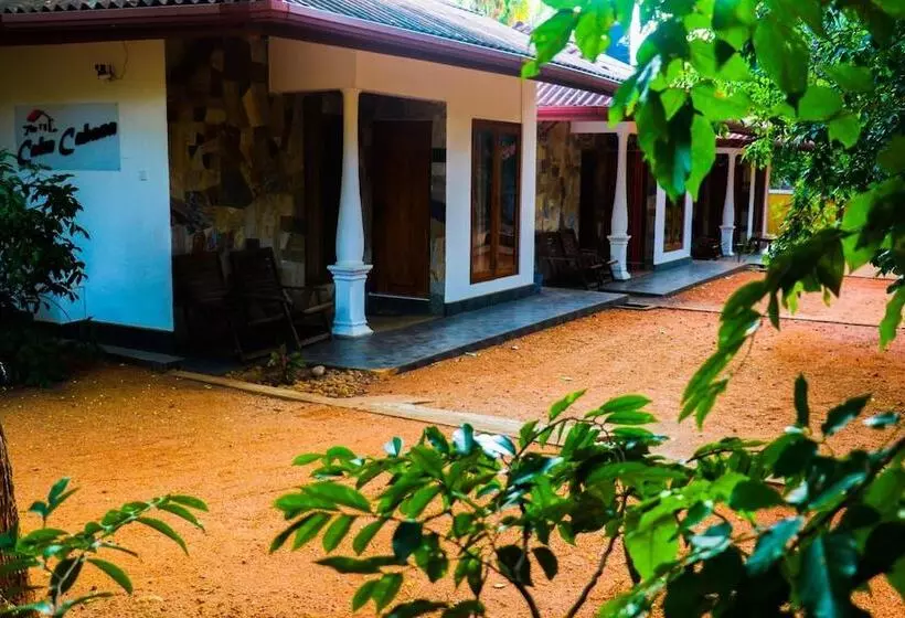 هتل The Calm Cabana