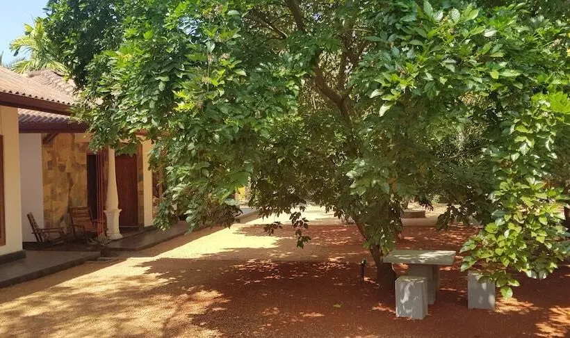 هتل The Calm Cabana