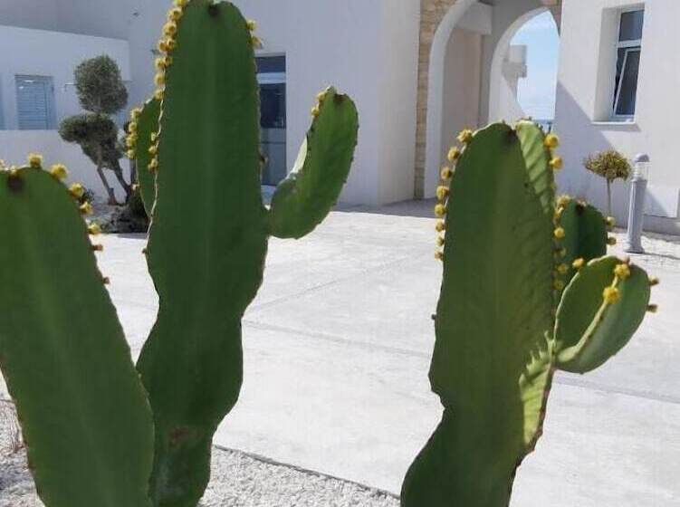 Pensão Blue Diamond Villas