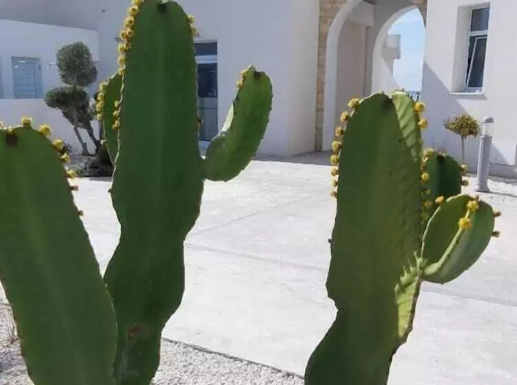 ペンション Blue Diamond Villas