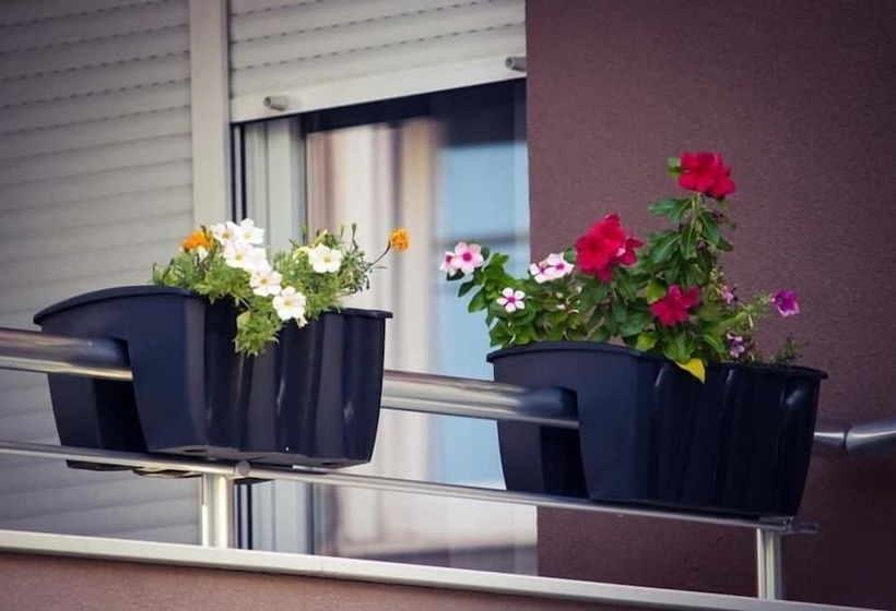 پانسیون Villa Zaad