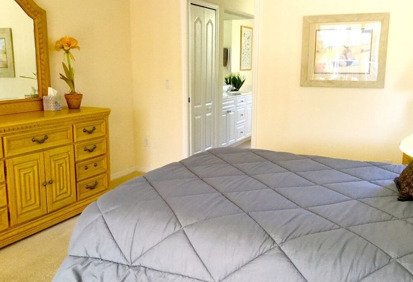 Sunny Daze Rotonda West