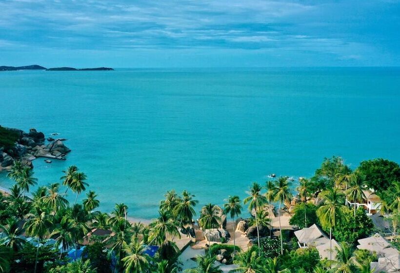 בית מלון כפרי Coral Cliff Beach Resort Samui   Sha Plus