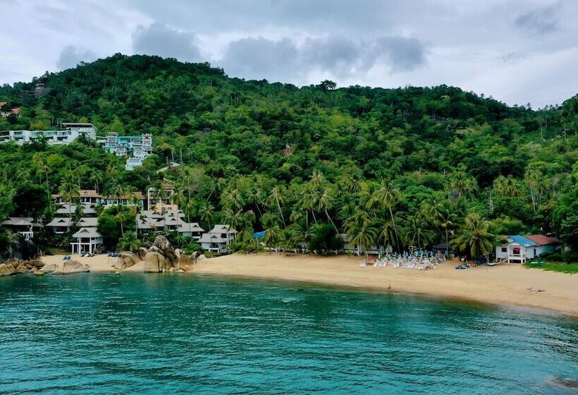 בית מלון כפרי Coral Cliff Beach Resort Samui   Sha Plus