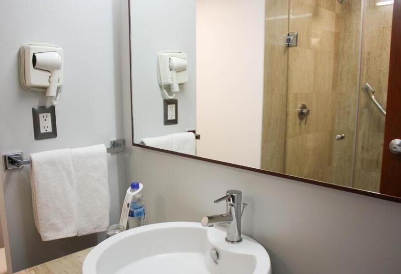 Laila Hotel Cdmx Reforma