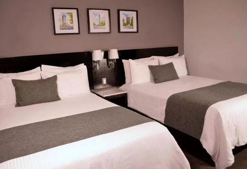 Laila Hotel Cdmx Reforma