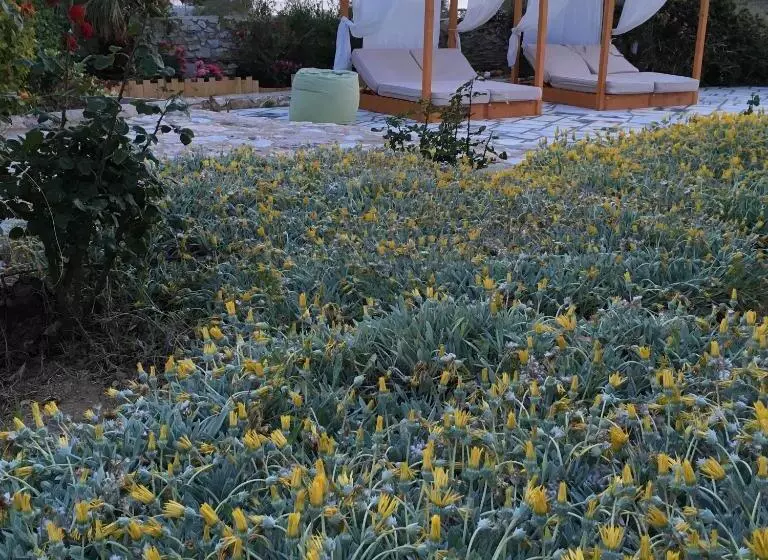 Отель Paros Agnanti Resort & Spa