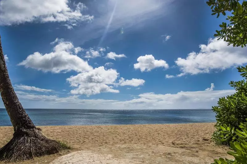 هتل Rincon Of The Seas Grand Caribbean