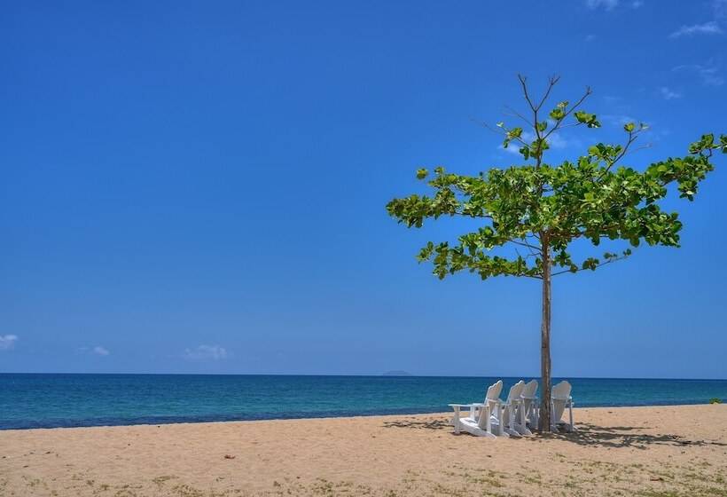 هتل Rincon Of The Seas Grand Caribbean