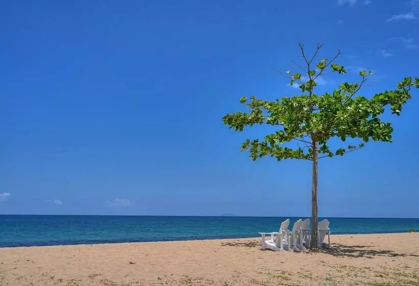 هتل Rincon Of The Seas Grand Caribbean