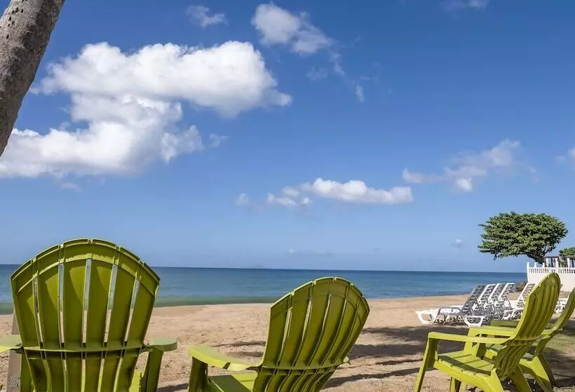 هتل Rincon Of The Seas Grand Caribbean