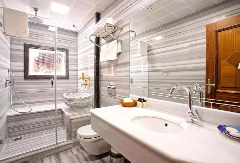 Seven Hills Hotel Special Category