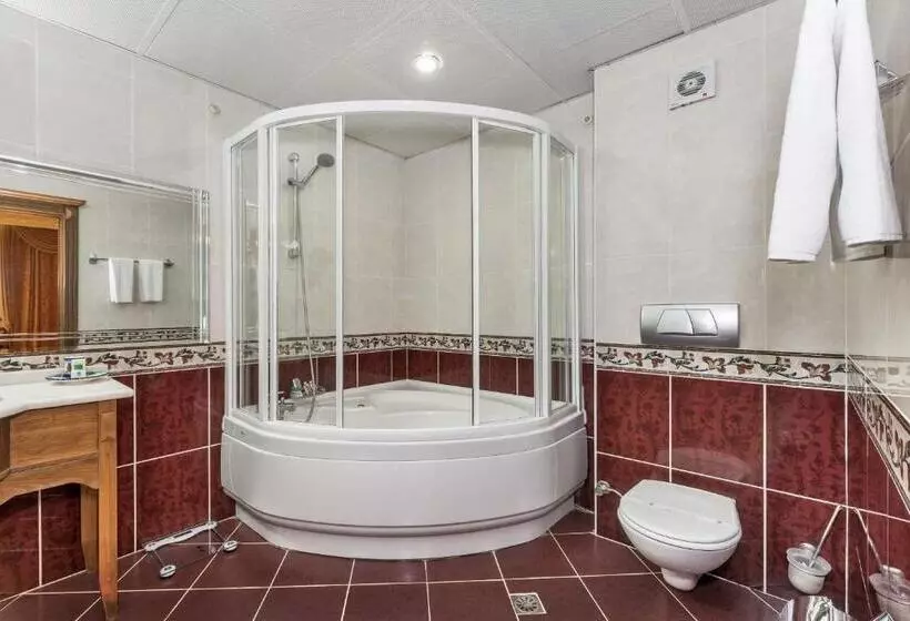 Seven Hills Hotel Special Category