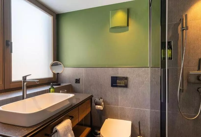 هتل Zermama Zermatt